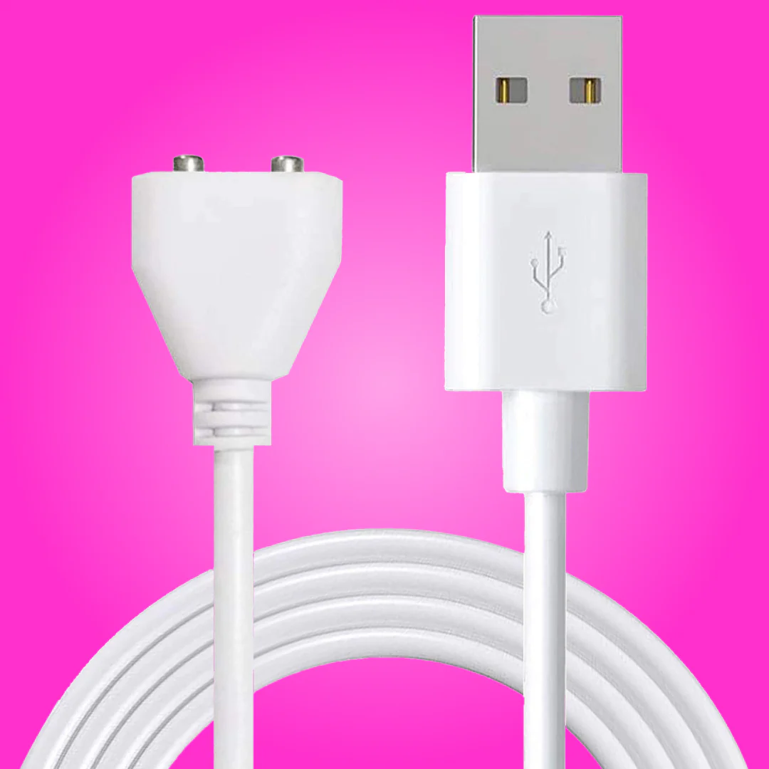 Charger - Image 2
